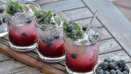 BLACKBERRY MOJITO